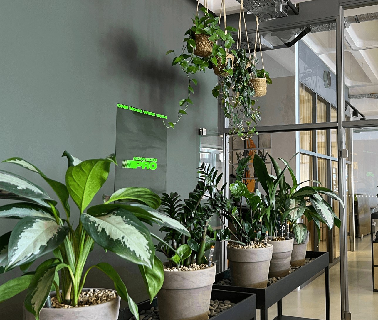 Office corridor with a pebble-filled trough divider lined with potted plants, hanging plants above, and more planting along desks behind a glass partition
