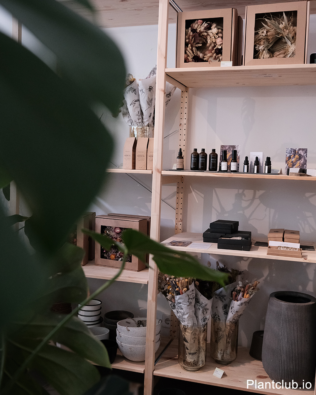 Plant care products and dried flowers on wooden shelves