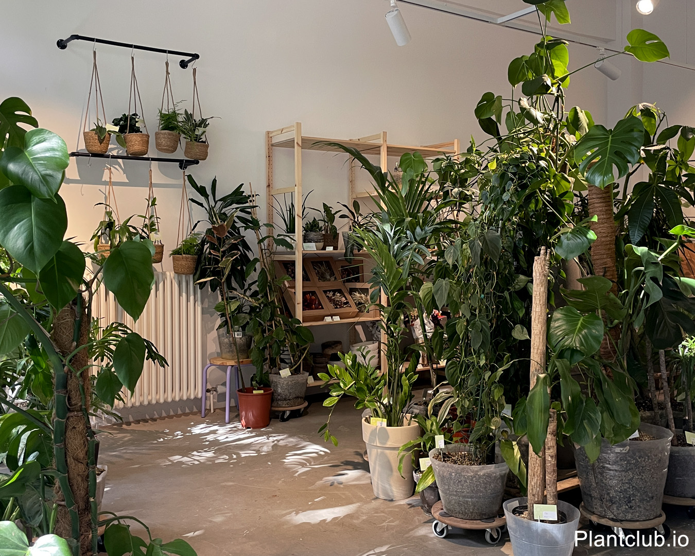 C2 Studio plant warehouse interior