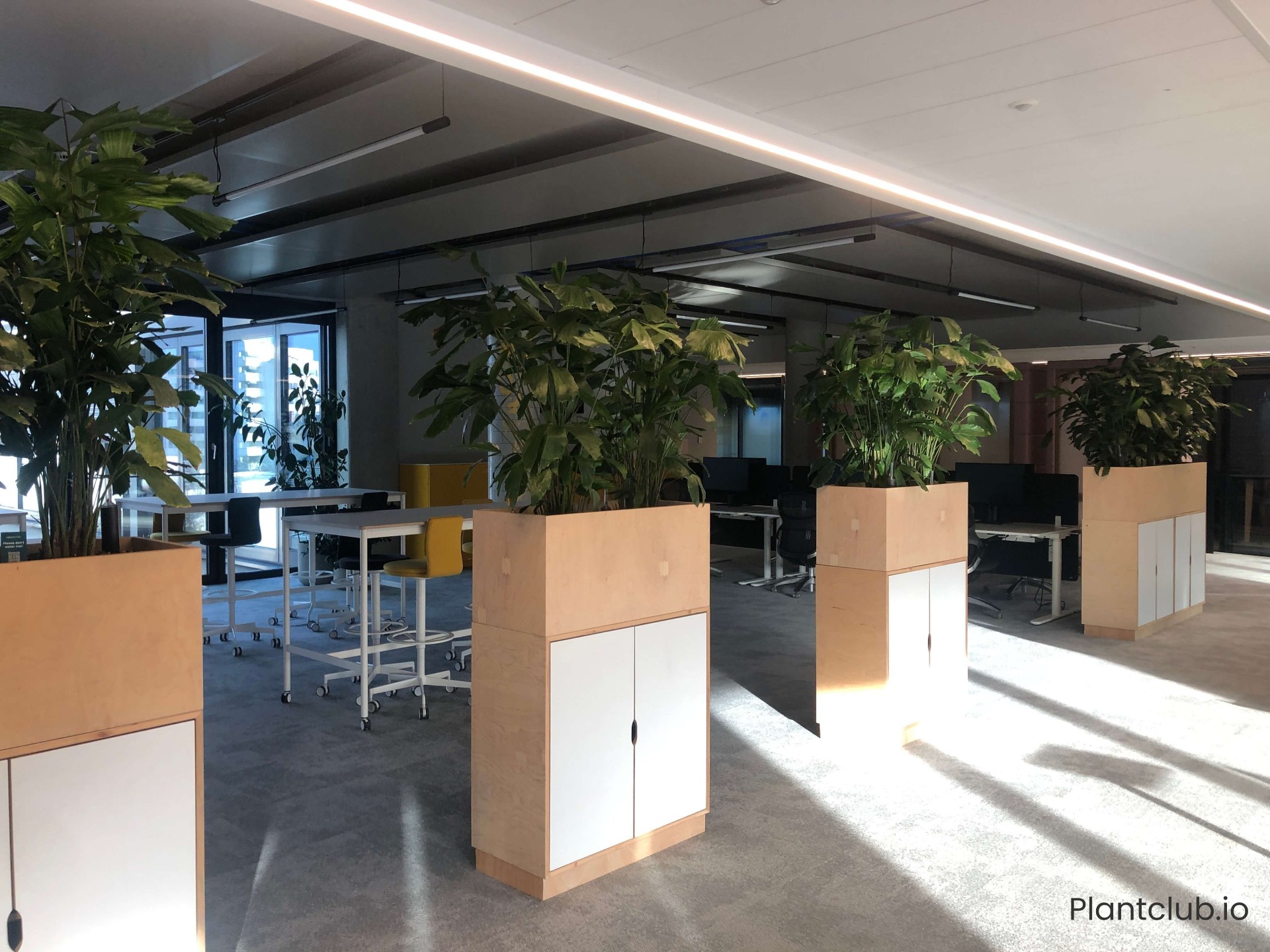 Contentful space 2