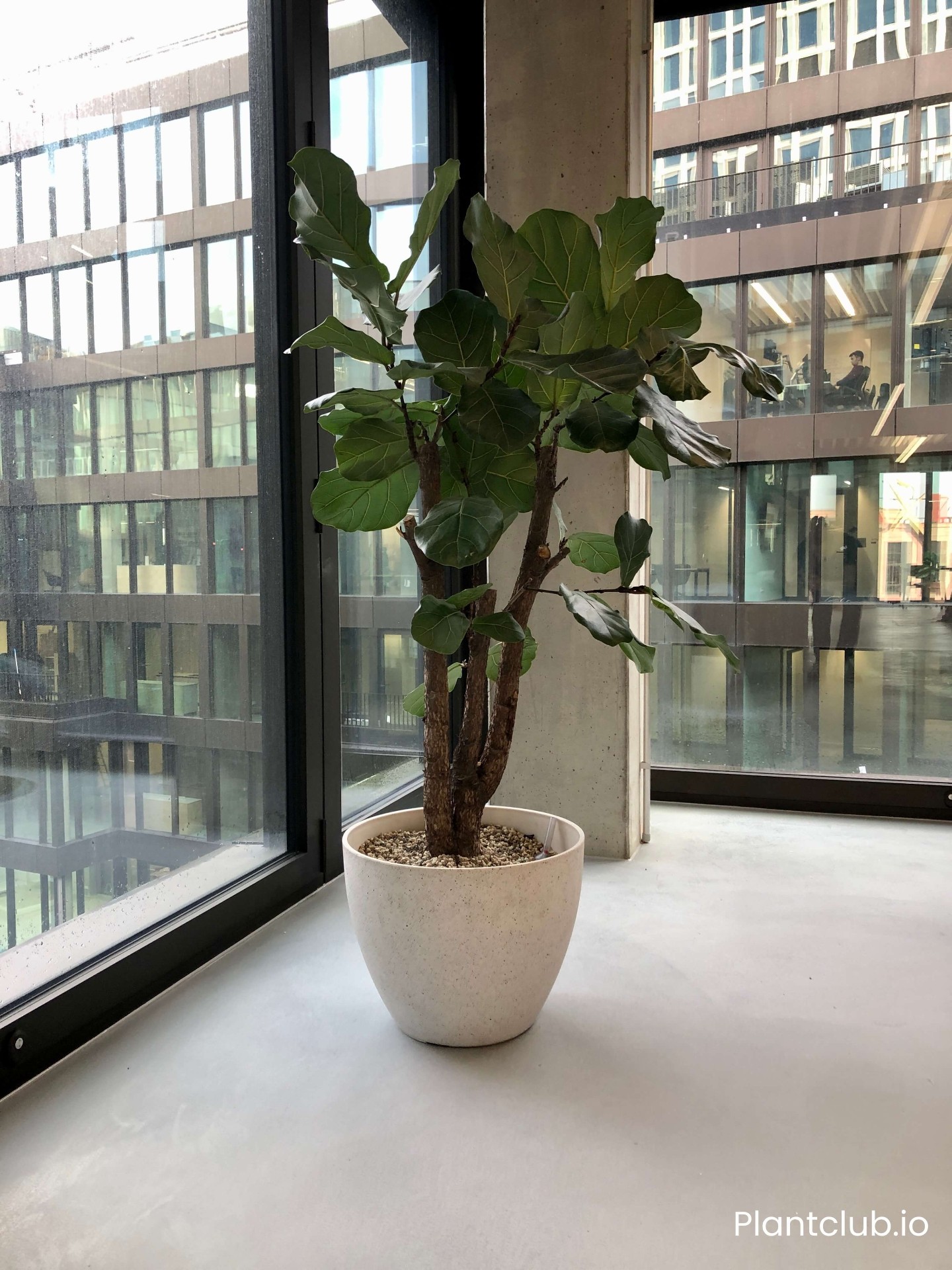 N26 space 3