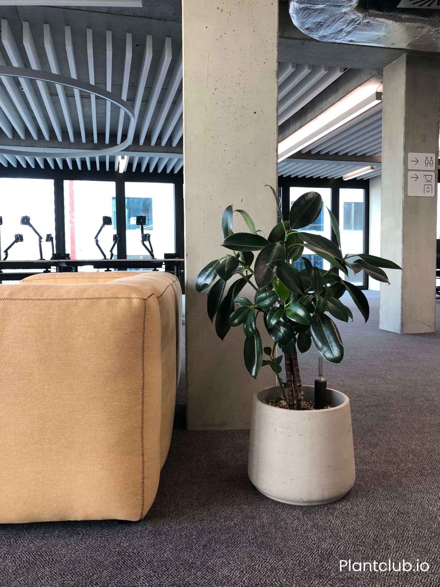 N26 space 7