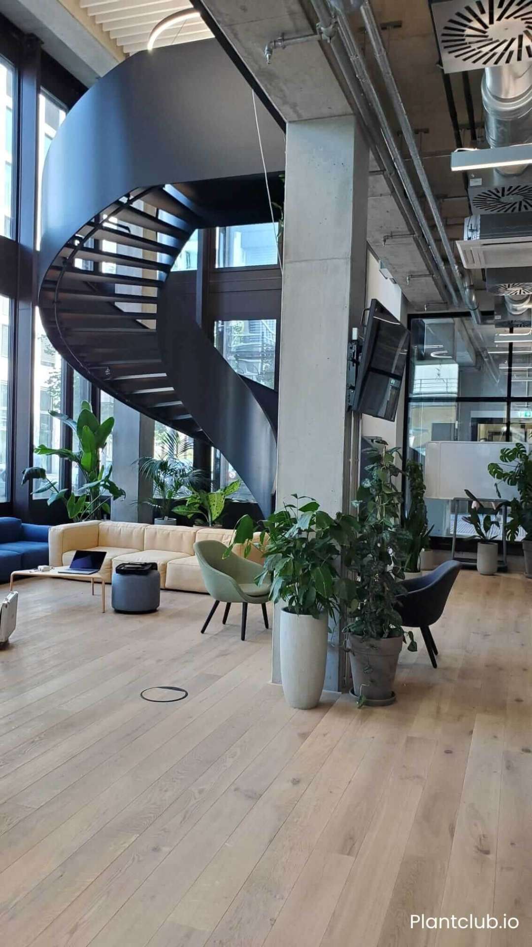N26