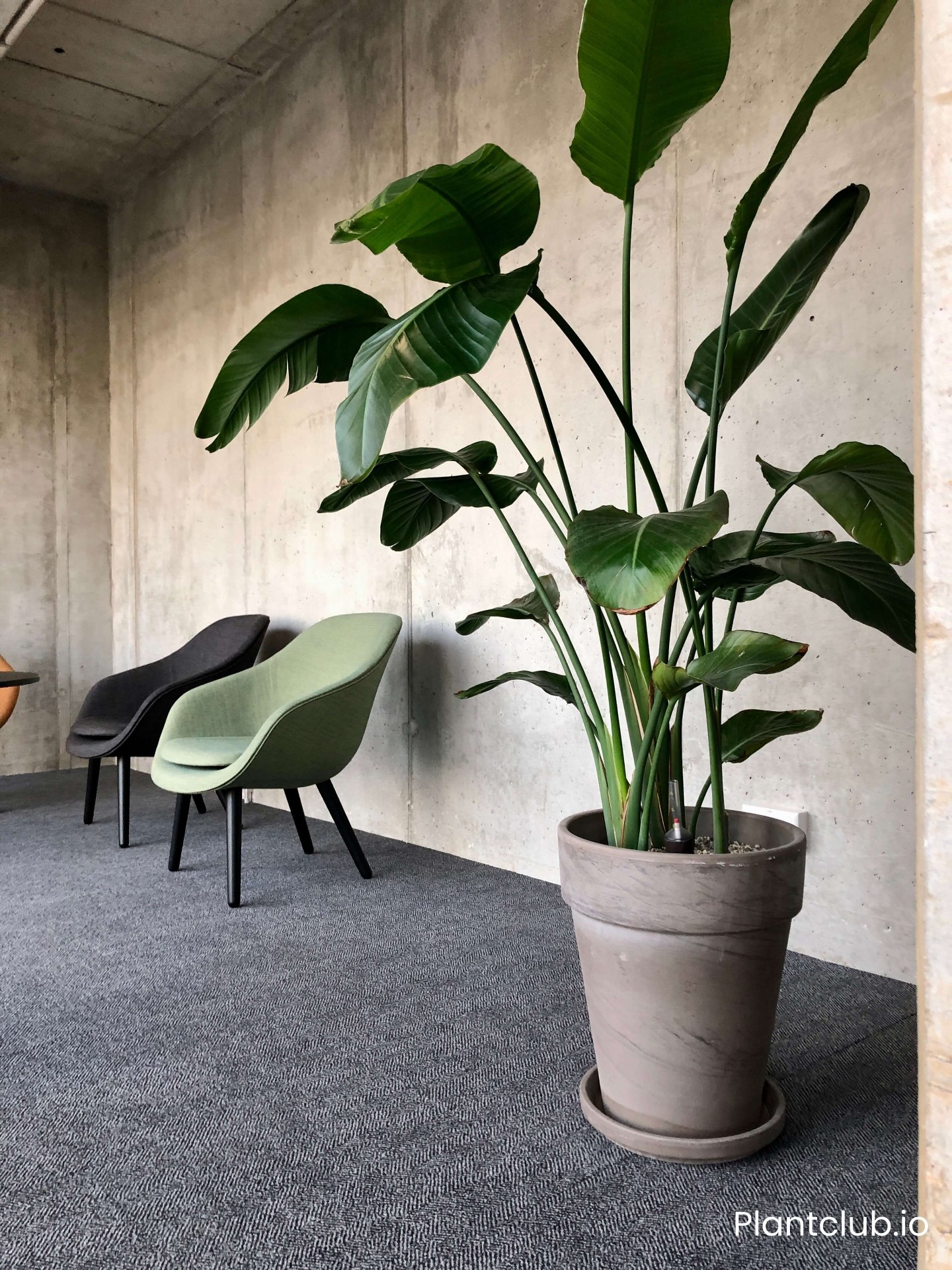 N26 space 2