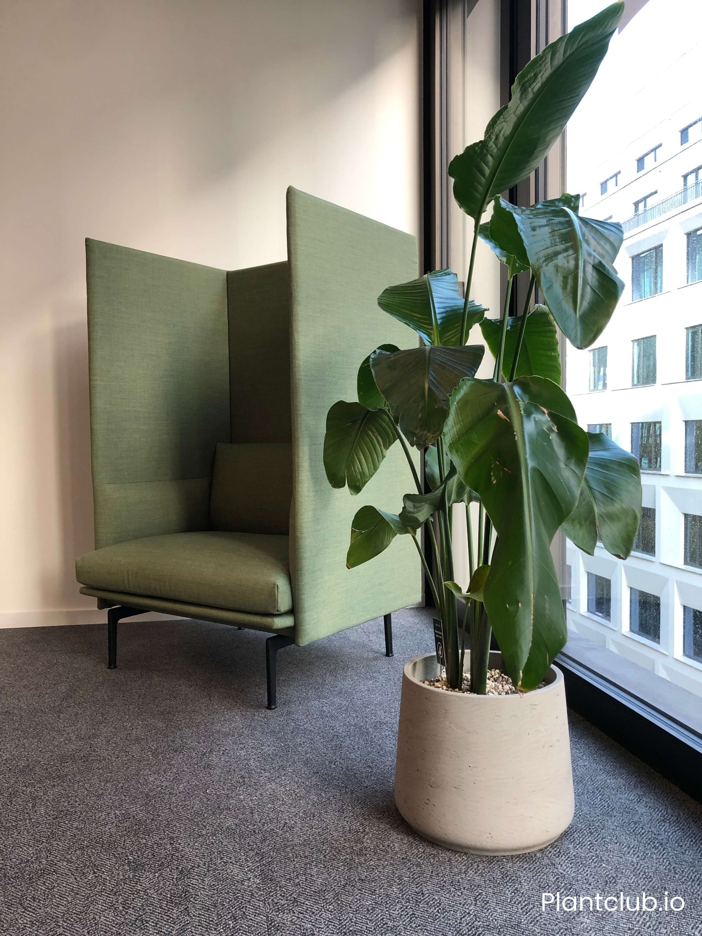 N26 space 4